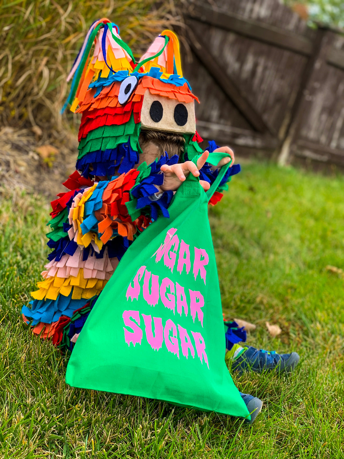 DIY Pinata costume for kids. 18 month old child  in a colorful pinata costume looking into a green bag that says Sugar, Sugar, Sugar. He is sitting on grass and the halloween costume is in rainbow colors like a traditional piñata.